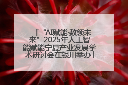 “AI赋能·数领未来”2025年人工智能赋能宁夏产业发展学术研讨会在银川举办