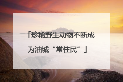 珍稀野生动物不断成为油城“常住民”