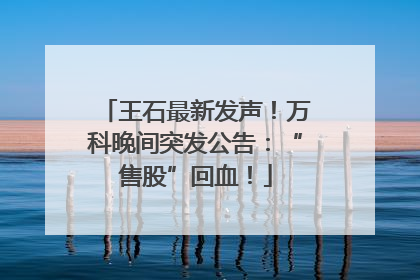 王石最新发声！万科晚间突发公告：“售股”回血！