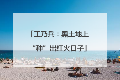 王乃兵：黑土地上“种”出红火日子