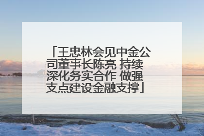 王忠林会见中金公司董事长陈亮 持续深化务实合作 做强支点建设金融支撑
