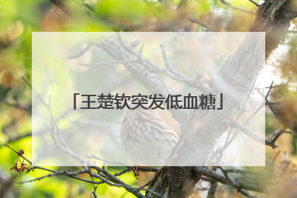 王楚钦突发低血糖