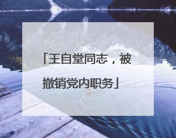 王自堂同志，被撤销党内职务