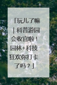 玩儿了嘛｜科普游园会收官啦！园林+科技狂欢你打卡了吗？
