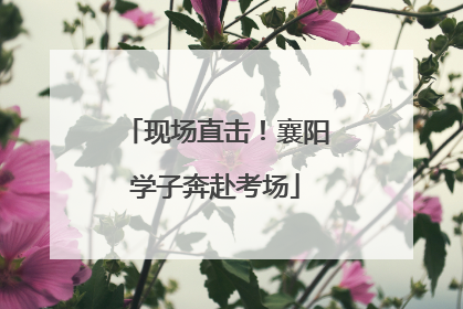 现场直击！襄阳学子奔赴考场