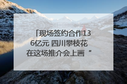 现场签约合作136亿元 四川攀枝花在这场推介会上画“图谱”列“清单”
