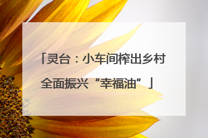 灵台：小车间榨出乡村全面振兴“幸福油”