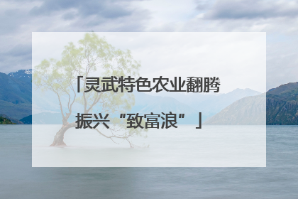 灵武特色农业翻腾振兴“致富浪”
