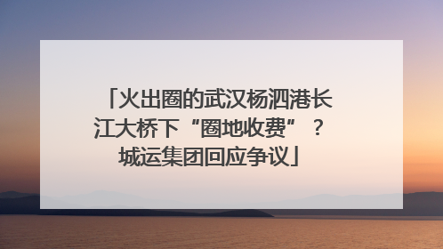 火出圈的武汉杨泗港长江大桥下“圈地收费”？城运集团回应争议