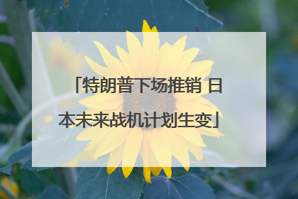 特朗普下场推销 日本未来战机计划生变