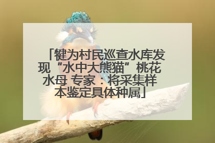 犍为村民巡查水库发现“水中大熊猫”桃花水母 专家：将采集样本鉴定具体种属