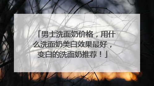 男士洗面奶价格，用什么洗面奶美白效果最好，变白的洗面奶推荐！