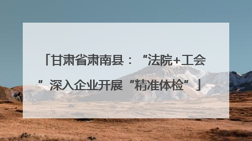甘肃省肃南县：“法院+工会”深入企业开展“精准体检”