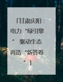 甘肃庆阳：电力“绿引擎” 驱动生态再造“新答卷”