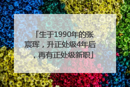 生于1990年的张宸珲，升正处级4年后，再有正处级新职