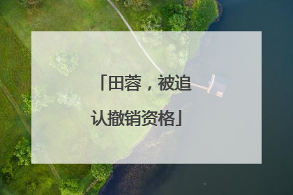 田蓉，被追认撤销资格