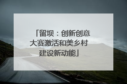 留坝：创新创意大赛激活和美乡村建设新动能