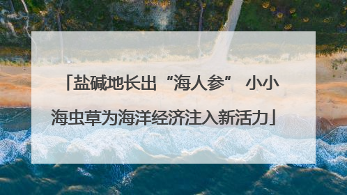 盐碱地长出“海人参” 小小海虫草为海洋经济注入新活力