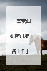 盛蕾调研防汛准备工作