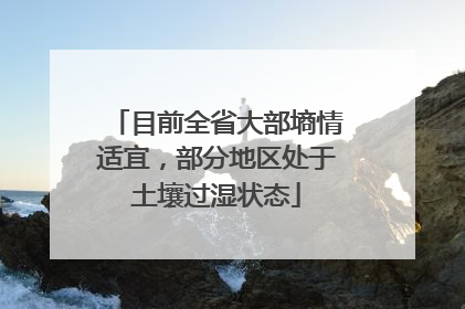 目前全省大部墒情适宜，部分地区处于土壤过湿状态