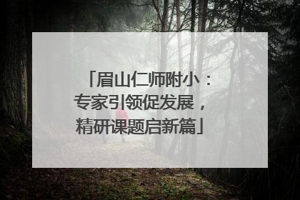 眉山仁师附小：专家引领促发展，精研课题启新篇
