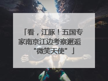 看，江豚！五国专家南京江边考察邂逅“微笑天使”