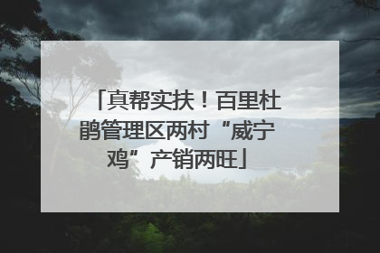 真帮实扶！百里杜鹃管理区两村“威宁鸡”产销两旺