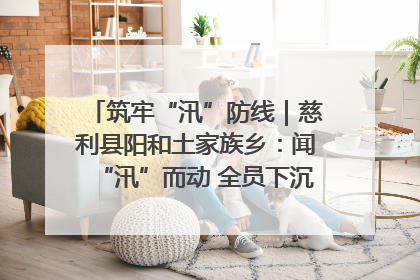 筑牢“汛”防线｜慈利县阳和土家族乡：闻“汛”而动 全员下沉筑牢防汛“安全堤”