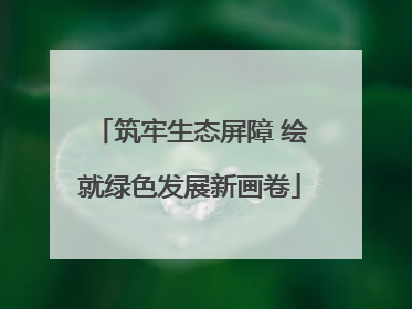 筑牢生态屏障 绘就绿色发展新画卷