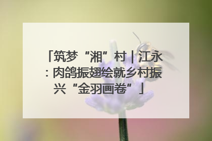 筑梦“湘”村｜江永：肉鸽振翅绘就乡村振兴“金羽画卷”