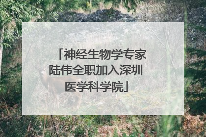 神经生物学专家陆伟全职加入深圳医学科学院