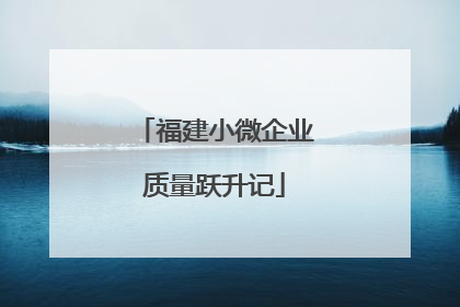福建小微企业质量跃升记