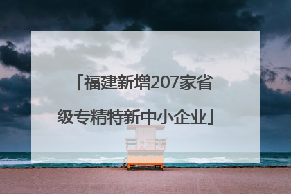 福建新增207家省级专精特新中小企业