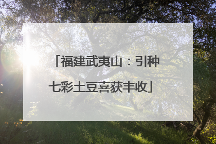 福建武夷山：引种七彩土豆喜获丰收