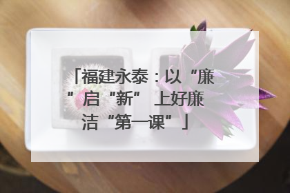 福建永泰：以“廉”启“新” 上好廉洁“第一课”