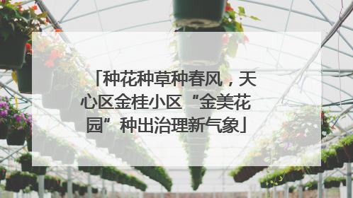 种花种草种春风，天心区金桂小区“金美花园”种出治理新气象