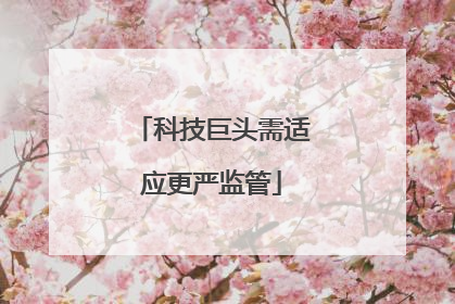 科技巨头需适应更严监管