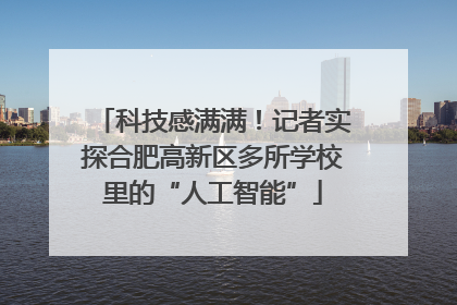 科技感满满！记者实探合肥高新区多所学校里的“人工智能”