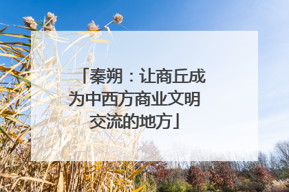秦朔：让商丘成为中西方商业文明交流的地方