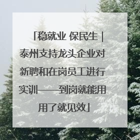 稳就业 保民生｜泰州支持龙头企业对新聘和在岗员工进行实训——到岗就能用 用了就见效