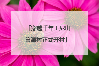 穿越千年！尼山鲁源村正式开村