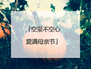 空巢不空心 爱满母亲节