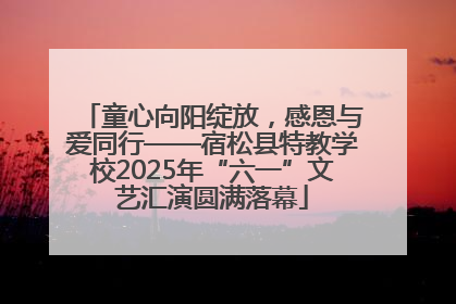 童心向阳绽放，感恩与爱同行——宿松县特教学校2025年“六一”文艺汇演圆满落幕