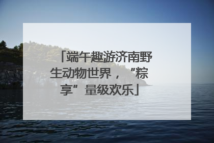 端午趣游济南野生动物世界，“粽享”量级欢乐