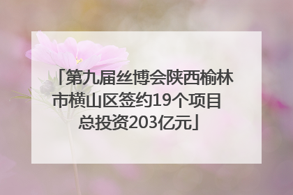第九届丝博会陕西榆林市横山区签约19个项目 总投资203亿元
