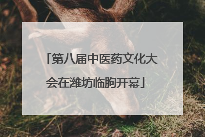 第八届中医药文化大会在潍坊临朐开幕