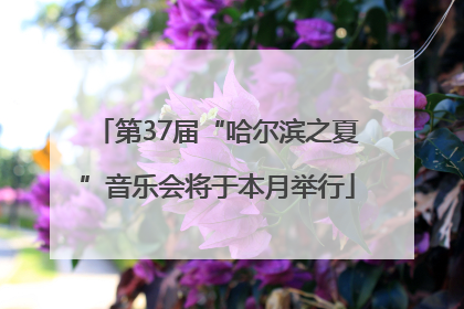 第37届“哈尔滨之夏”音乐会将于本月举行