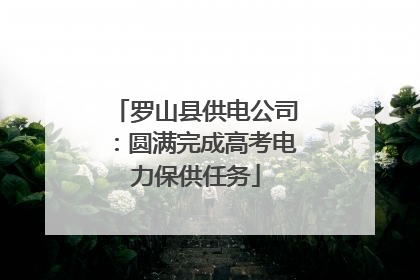 罗山县供电公司：圆满完成高考电力保供任务