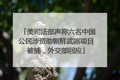 美司法部声称六名中国公民涉资助朝鲜武器项目被捕，外交部回应