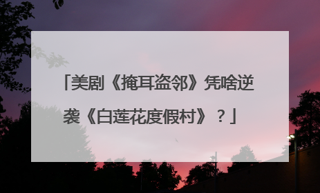美剧《掩耳盗邻》凭啥逆袭《白莲花度假村》？